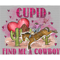 Valentine's Day-QRJ  7496